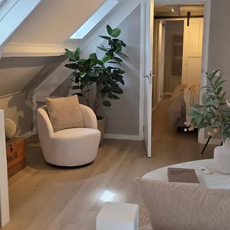 21 Stylish And Luxurious Apartment *