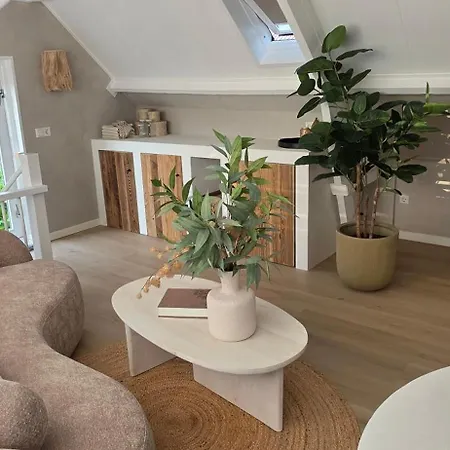 21 Stylish And Luxurious דירה