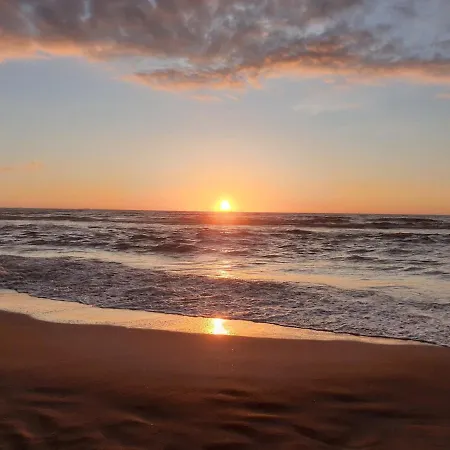 21 Stylish And Luxurious *