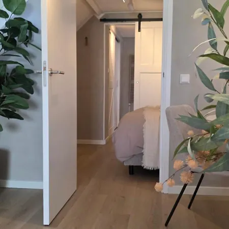 21 Stylish And Luxurious * נורדוויק