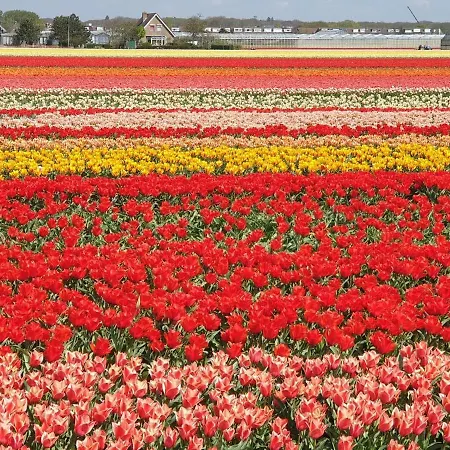 Apartment 21 Stylish And Luxurious *