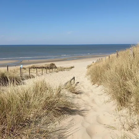 21 Stylish And Luxurious דירה