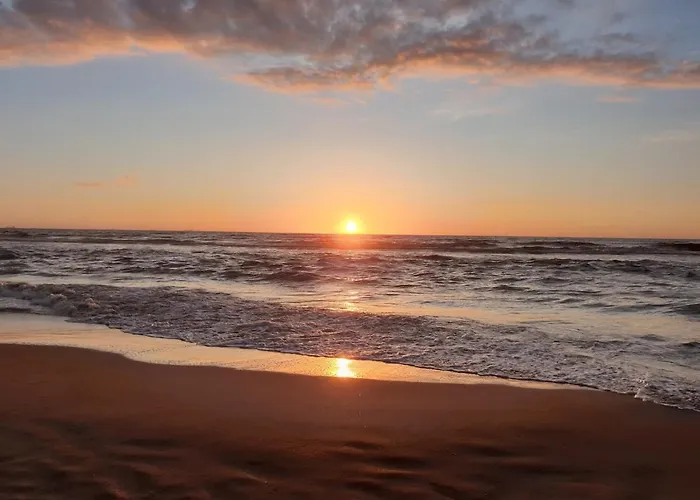 21 Stylish And Luxurious *