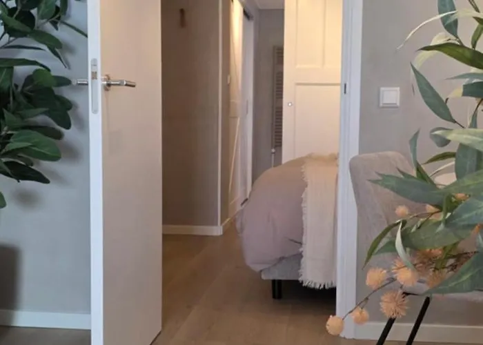 21 Stylish And Luxurious * Noordwijk