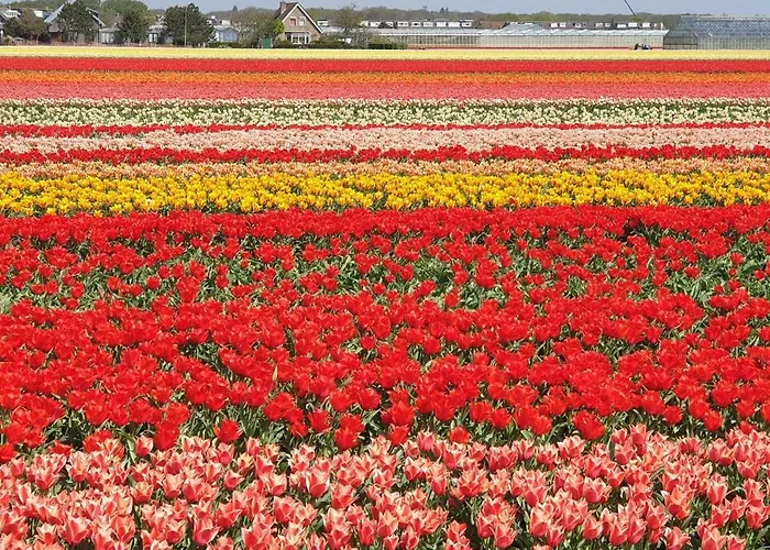 Daire 21 Stylish And Luxurious *