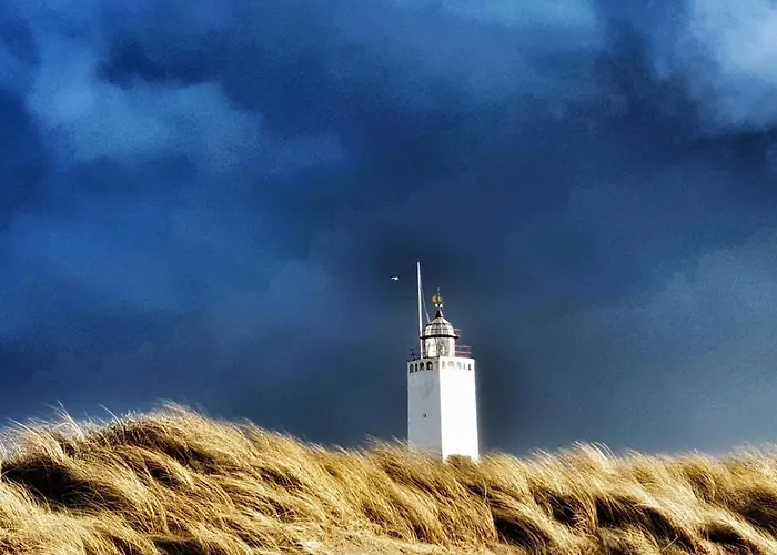 21 Stylish And Luxurious Daire