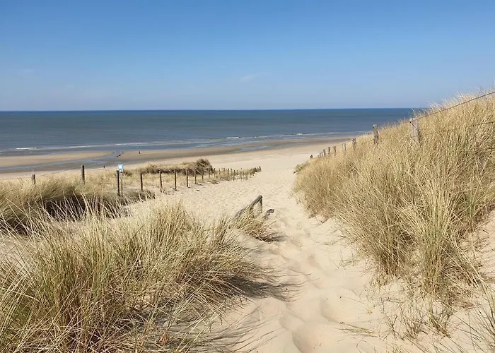 21 Stylish And Luxurious Apartment