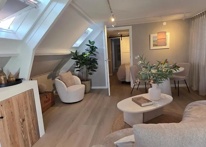 21 Stylish And Luxurious Apartment