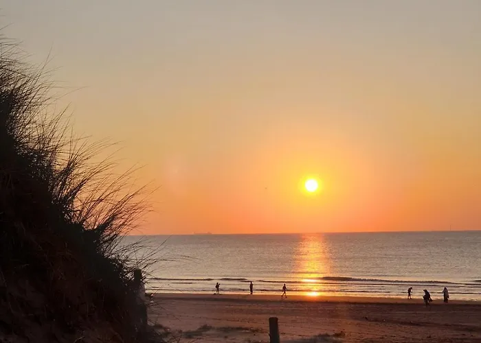 21 Stylish And Luxurious Noordwijk